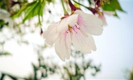 生气就冷战的三个生肖女，喜欢用冷暴力，几天都不说话