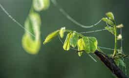 这些星座真硬气，刀刀见血、招招要命，丝毫不留转圜余地！