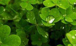 你气场再强，也惹不起这三个星座，让人不得不服