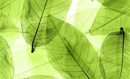 爱一个人会将对方放在心中一生的三大星座