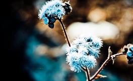 苏珊米勒一周星座运势（6.20-6.26）