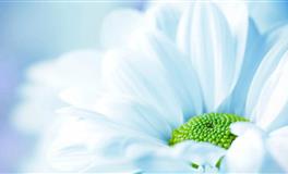 蓝蓝占星一周感情运势（6.18-6.24)