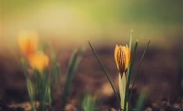 闹闹女巫店天秤座一周运势（6.20-6.26）