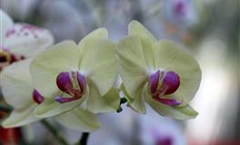 抱大腿！12星座中谁是“财富潜力股”