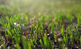 星座女神双子座一周运势(6.13-6.19)