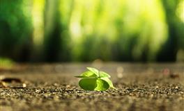 苏珊米勒一周星座运势（6.6-6.12）