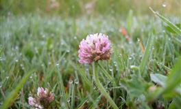 娜迪亚射手座本周运势（6.27–7.3）