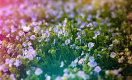 智商高，情商更高的三大星座