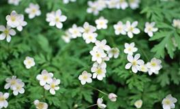 最降得住摩羯座的星座，相生相克，注定在一起