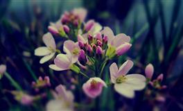 让人佩服！哪些星座容易得到别人的赞美