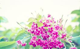 领导能力极强，气场强大，最让人服气的3个星座