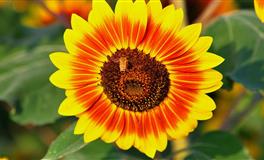 盘点7月爱情与事业双丰收的星座