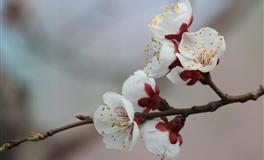 相处越久越让人喜欢的三大星座女，尤其水瓶座，最有女人味