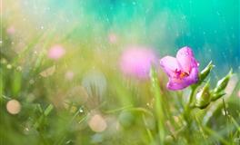 十二星座不理你的原因