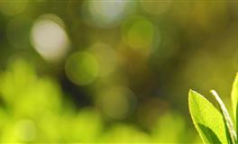 到处沾花惹草，最花心的三大星座！