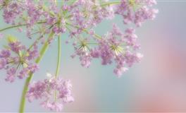 既能保持理性又能保持感性，做事稳准狠的三大星座