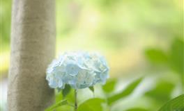 郑博士：2022年7月男女财运提前报