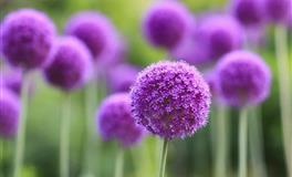 气场强大，魅力无人能比的三大星座，注定到哪都艳压群芳