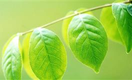 论人缘好，只服这几个星座！到哪都能朋友成群