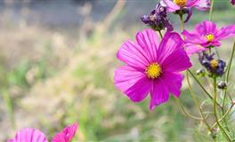 喜欢追剧的三个星座女，是想找存在感，还是喜欢浪漫