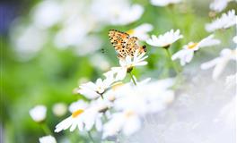 下半年！对自己心存善意『好事就会发生』星座点名