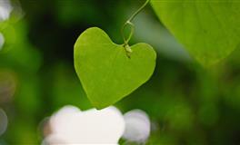 这四大星座对婚姻忠诚，即使遇见更爱的人，也不会背叛婚姻