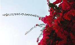 闹闹女巫店巨蟹座一周运势（6.27-7.3）