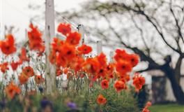 APP：2022年6月星座运程