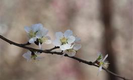 判答：2022年6月星座运势