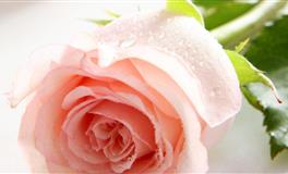 爱莎公主2022年6月星座运势