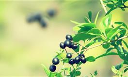 这几个生肖女生，婚后最善解人意