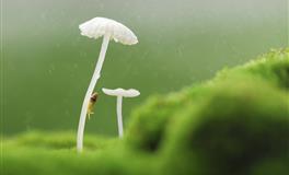 如何跟白羊座谈恋爱