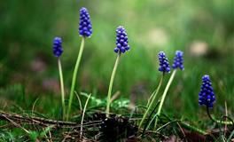 苏珊米勒每日运势2022年6月8日