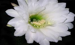 苏珊米勒2022年6月射手座运势完整版