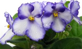 6月，这个星座千万别强出头