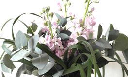 哪些星座的男生具有家暴倾向？