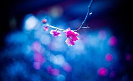 苏珊米勒每日运势2022年6月3日