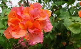 静电鱼水瓶座一周运势(7.25-7.31)