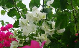 娜迪亚水瓶座本周运势（7.18-7.24）