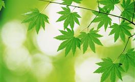 追求速度感？四大血型喜欢速度与激情吗？