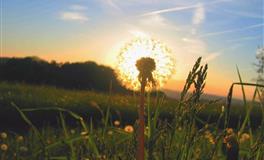 星座女神水瓶座2022下半年运势