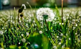 占有欲太强，一言不合就吃醋的星座男