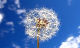 2022下半年良缘在身边？哪些命格能把握幸福？