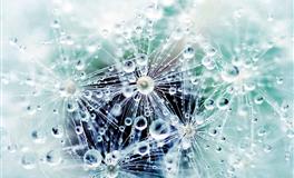 12生肖一星期运程 （2022.7.14-7.20）