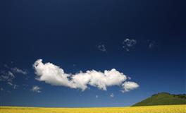 苏珊米勒每日运势2022年7月14日