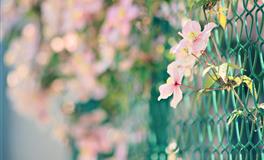 这几大星座与射手座很适合在一起