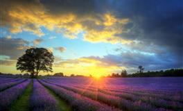 内心却偏执如火，容易走极端的星座