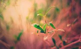 花甜巨蟹座2022年8月运势