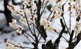 容易给人带来“莫名压力”的五大星座