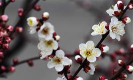 爱莎公主一周星座运势(7.18-7.24)